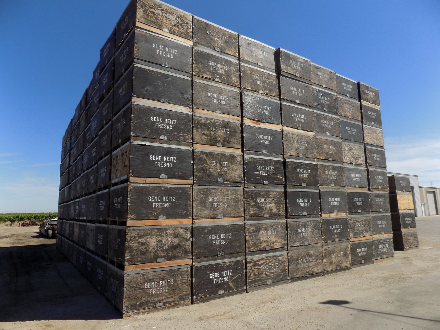 Bins at Reitz Ranches. Cleaner fruit means less is deducted from the price a grower receives.